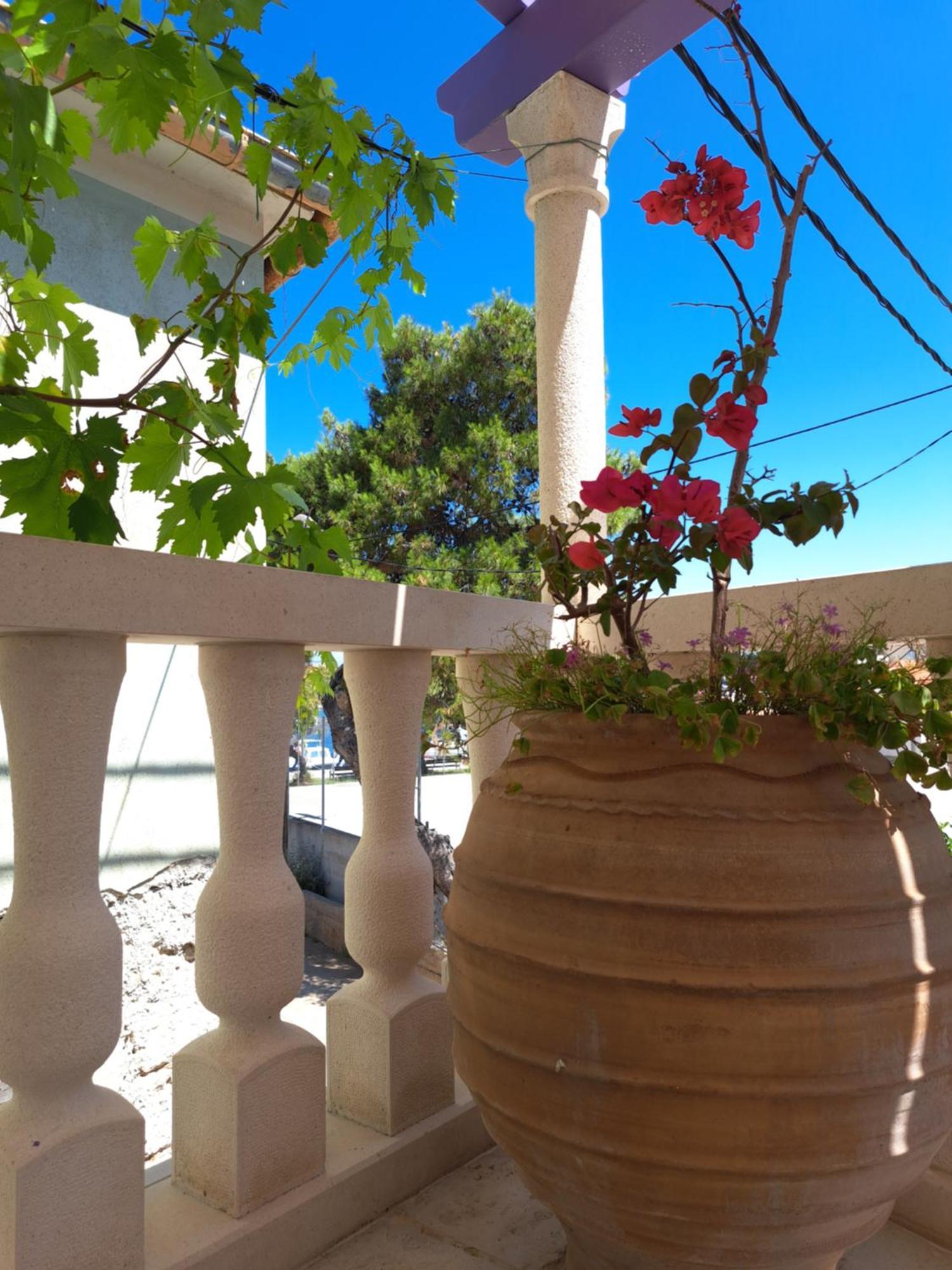 Apartament Jardin Kapetanova Kuca Veli Iž Zewnętrze zdjęcie